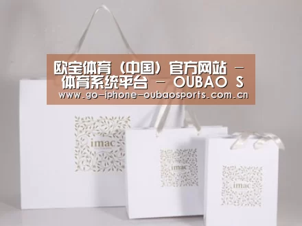 项目名称十一