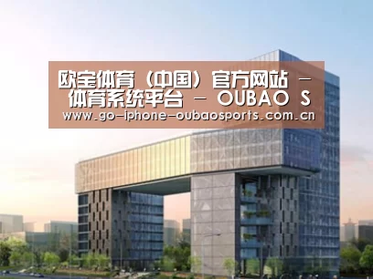 案例展示四