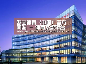 案例展示五