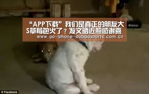 欧宝体育APP