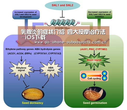 乳腺炎的症状介绍 四大按摩治疗法-iOS下载(图1) 官方应用