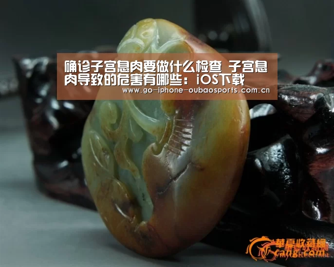 iOS下载