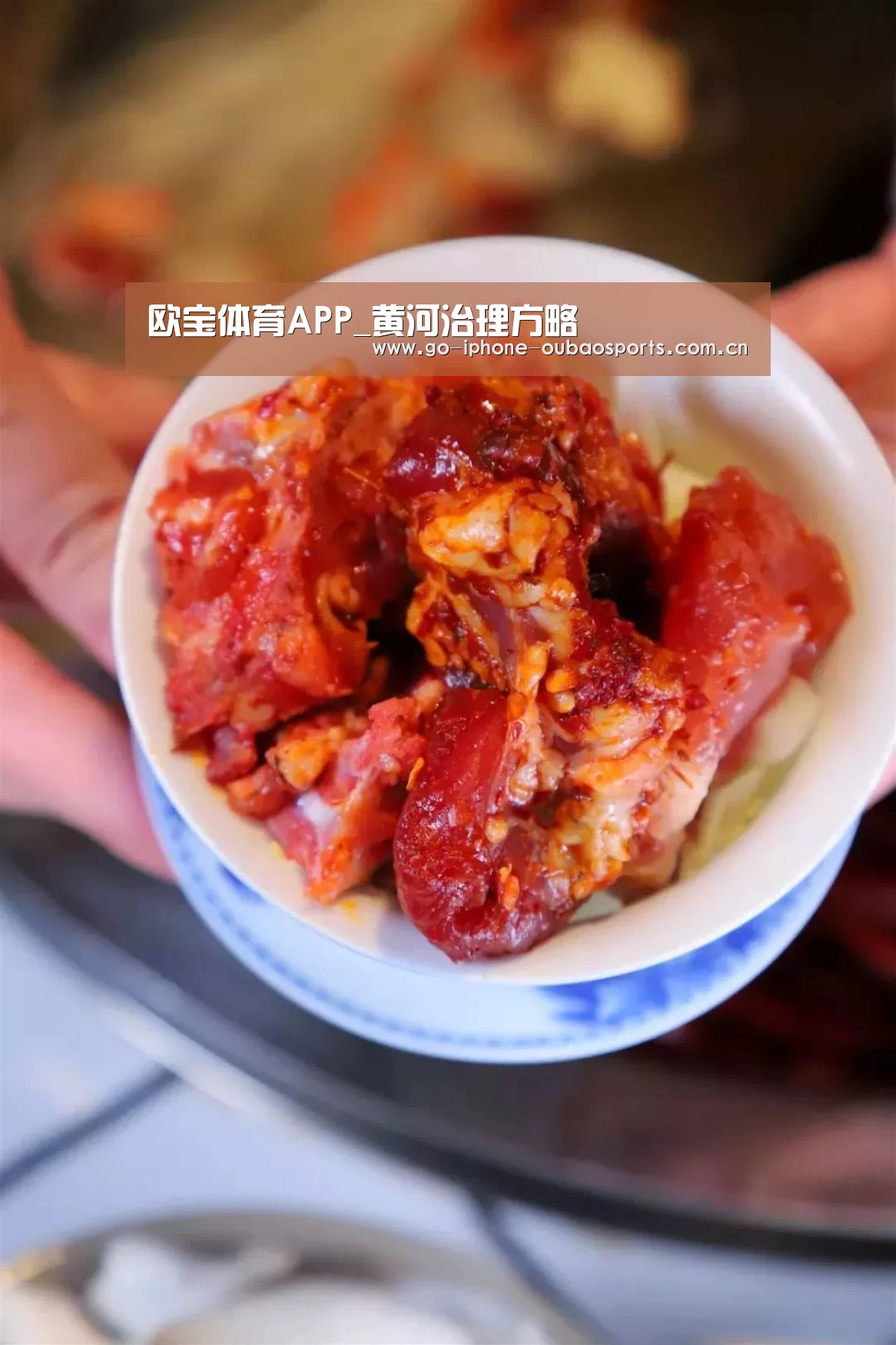 欧宝体育APP_黄河治理方略(图2) iOS下载