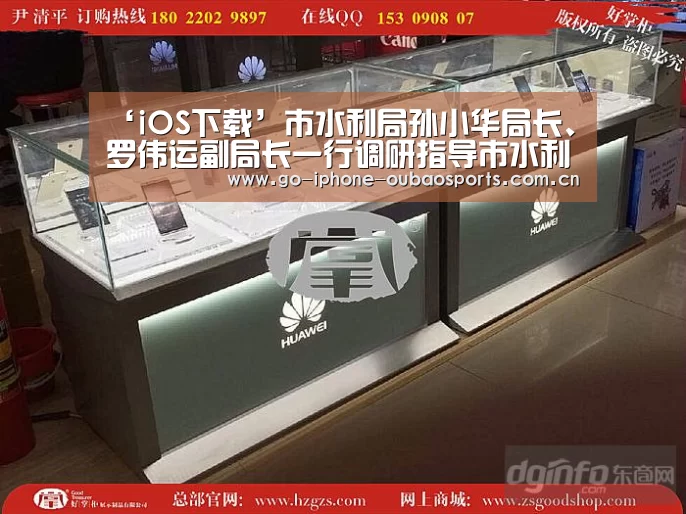 iOS下载
